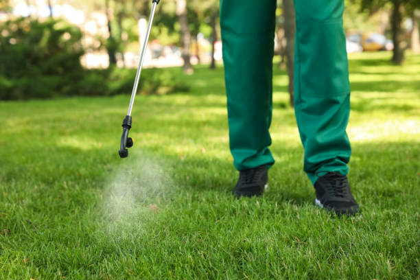 Best Bed Bug Extermination  in Monrovia, IN