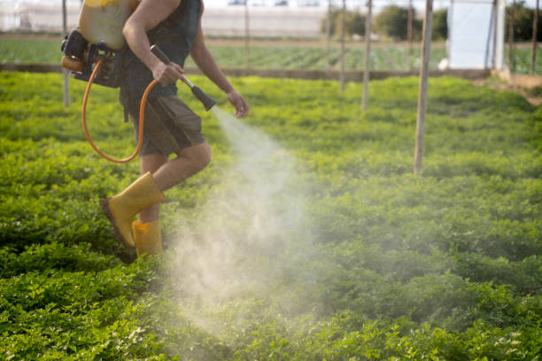 Best Pest Prevention Services  in Monrovia, IN