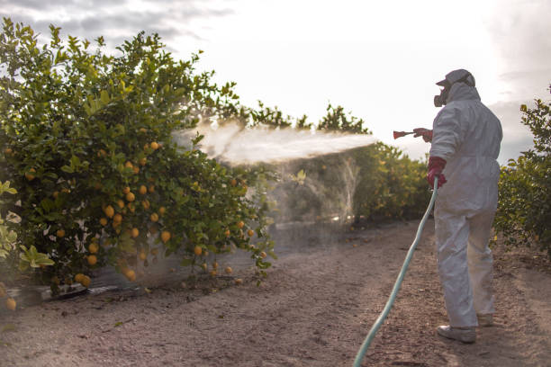Best Best Pest Control Companies  in Monrovia, IN