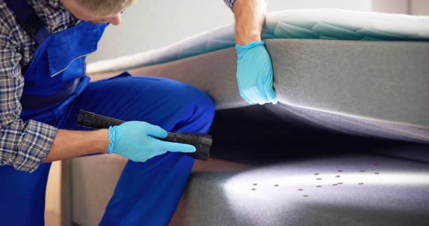 Best Local Pest Control Services  in Monrovia, IN