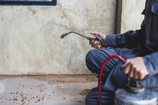 Pest Control for Restaurants in Monrovia, IN
