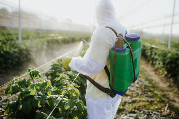 Best Commercial Pest Control Services  in Monrovia, IN